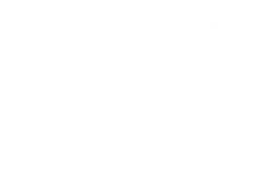 LOGO FOOTER